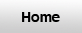 home button